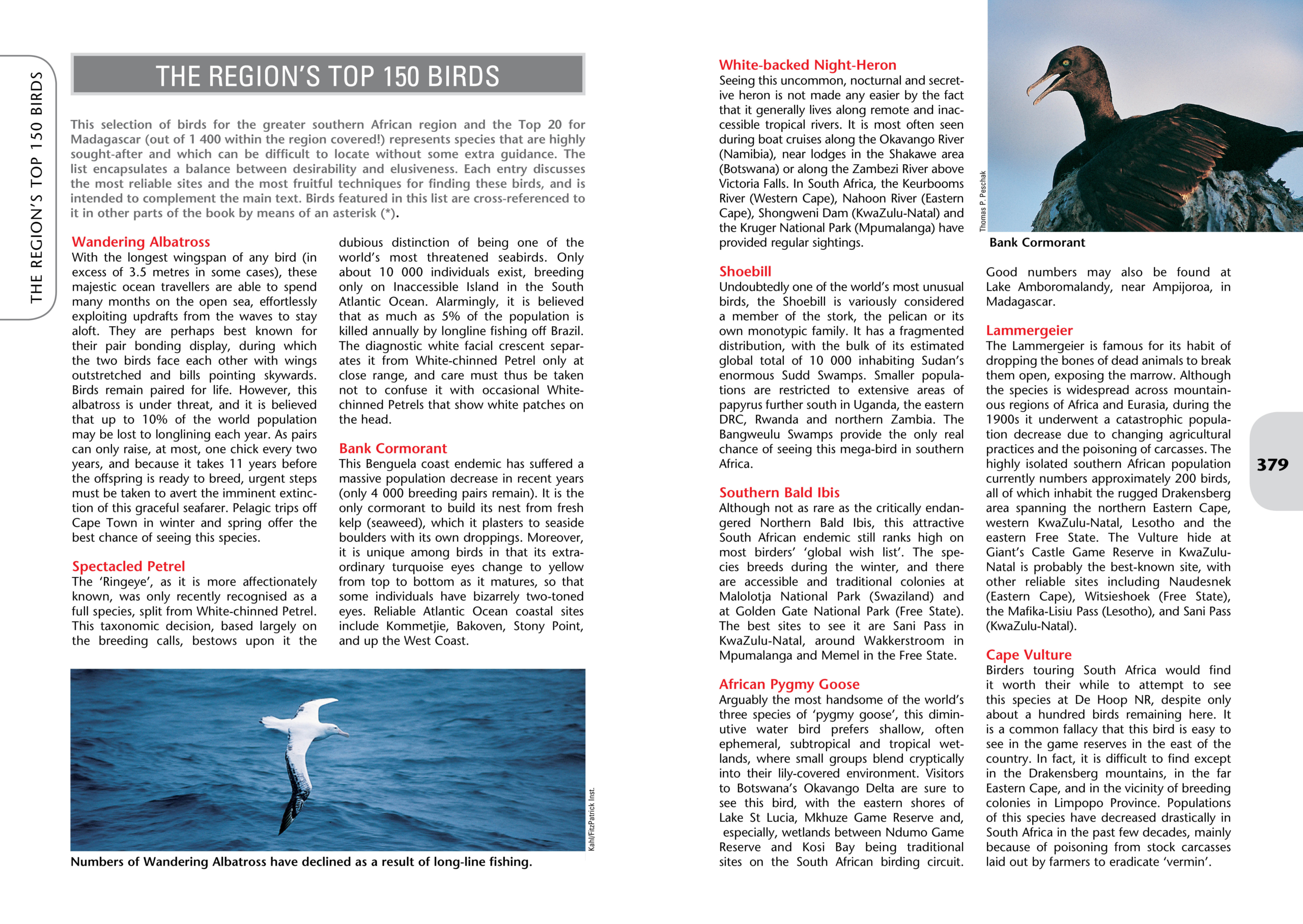 SA Birdfinder Spread 2