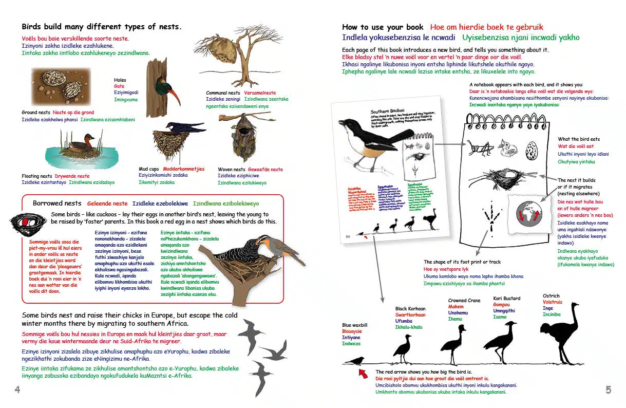 MFBO_Birds Vol 2 spread 1