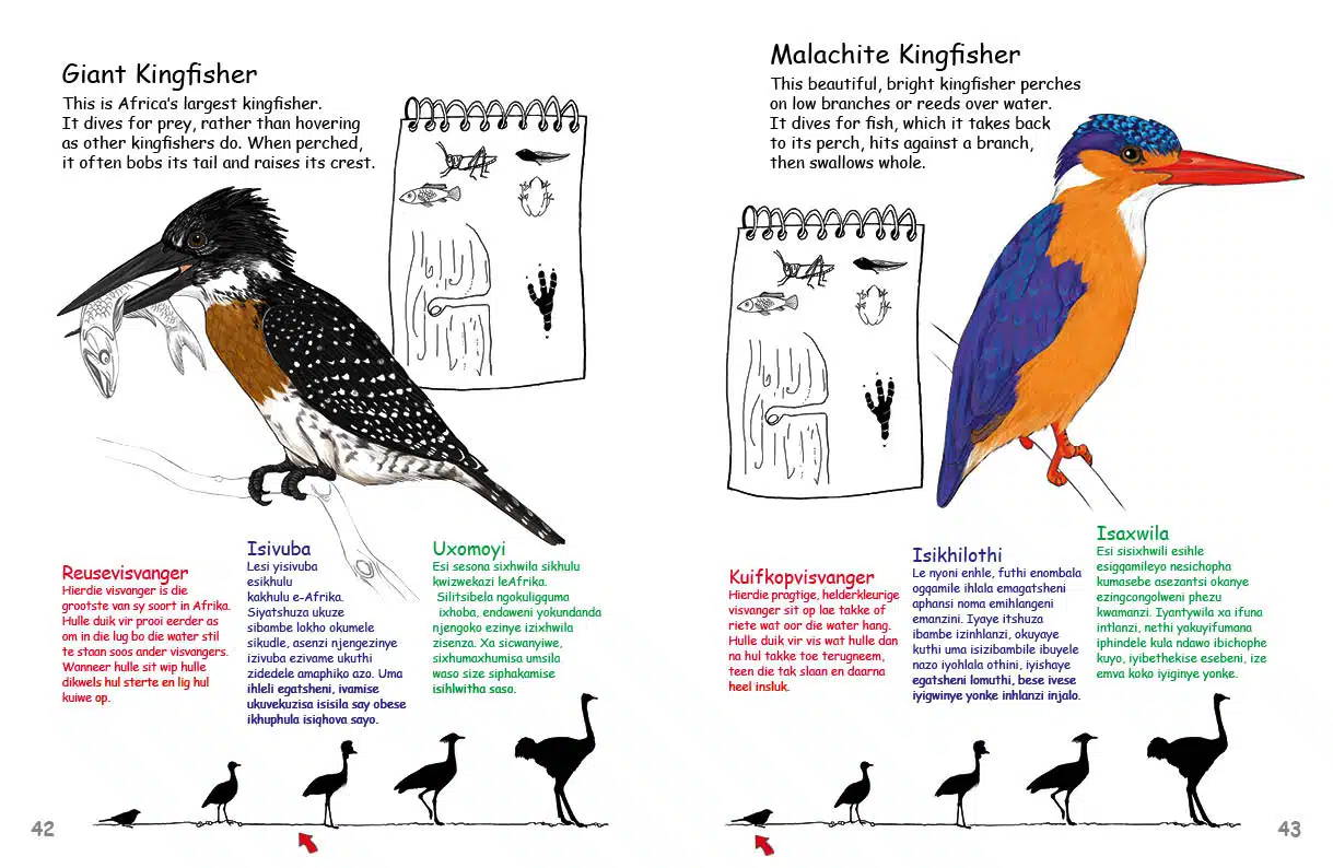 MFBO_Birds Vol 2 spread 2