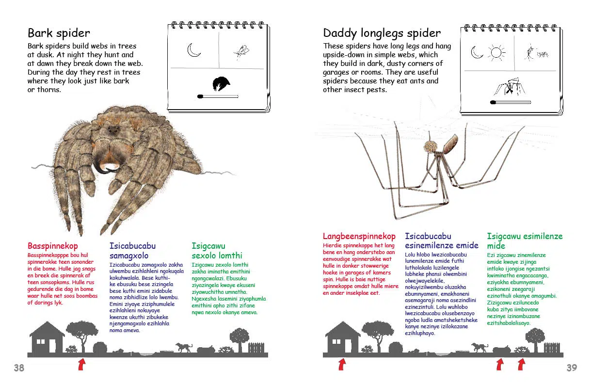 DPS-My First Book of Southern African Creepy Crawlies spread 2
