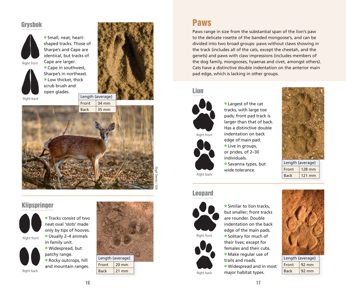 On-Track_Spread_2