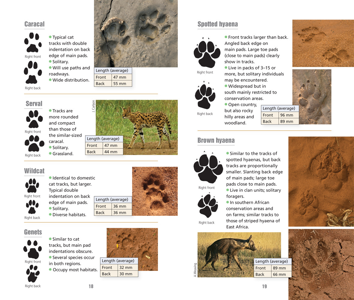 On-Track_Spread_3