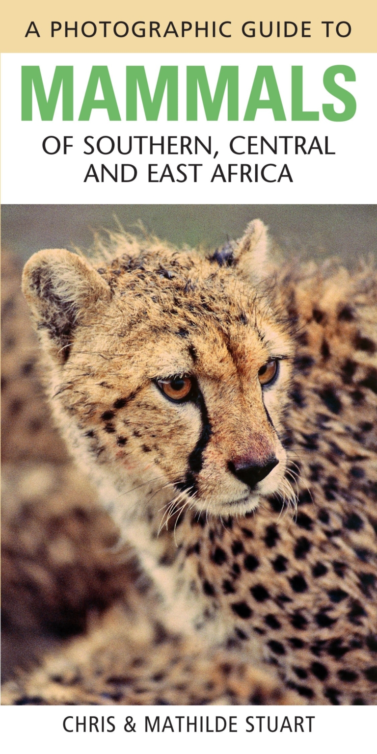 Mammals of Sthn/Cntrl & East Africa: A Photographic Guide