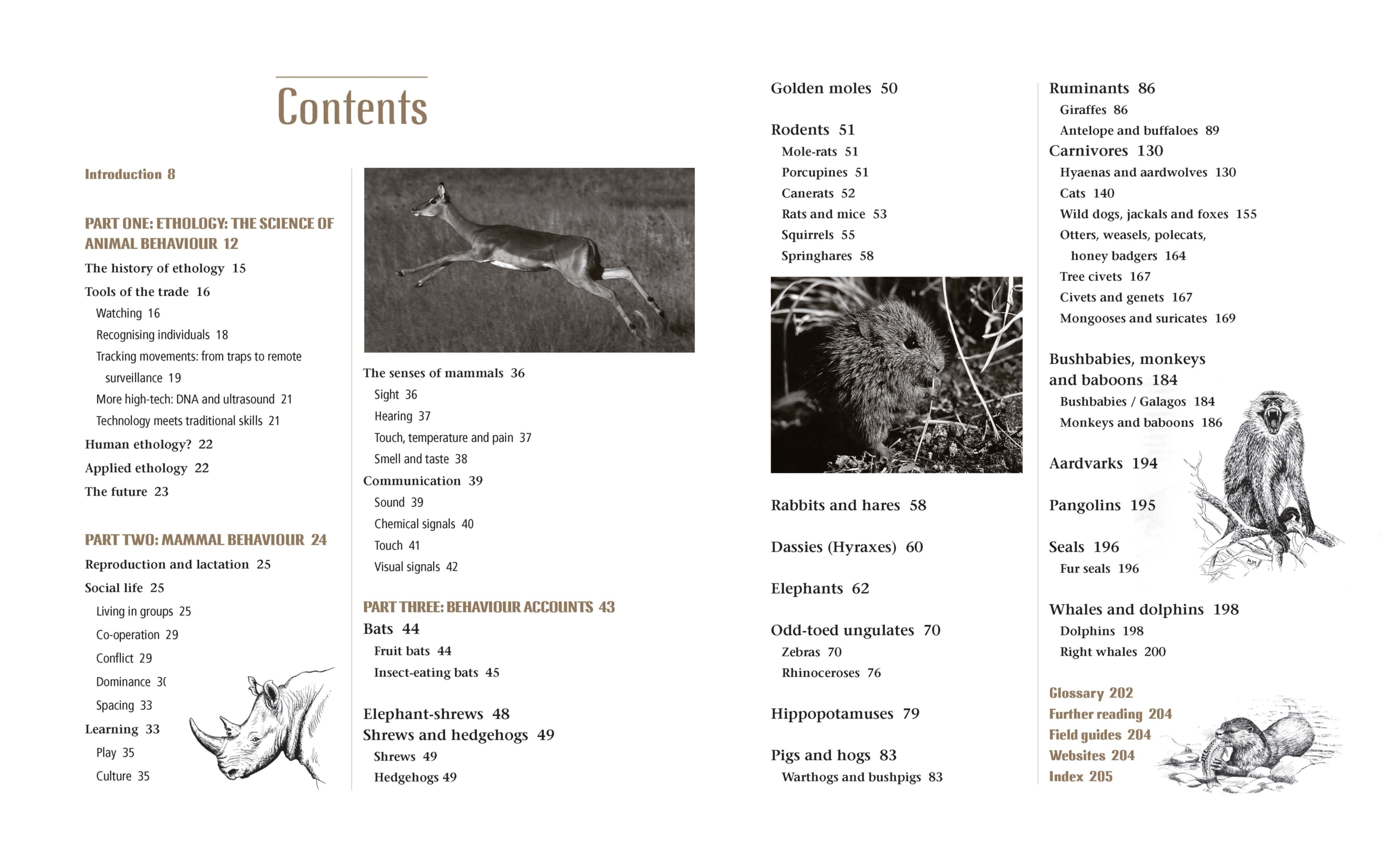 Contents spread