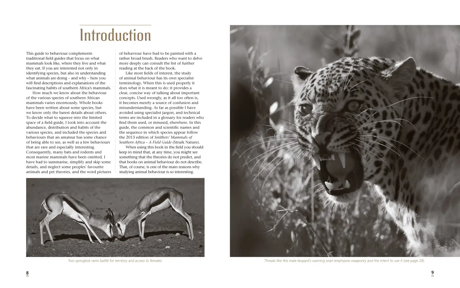 Wild-Ways-Spread-1