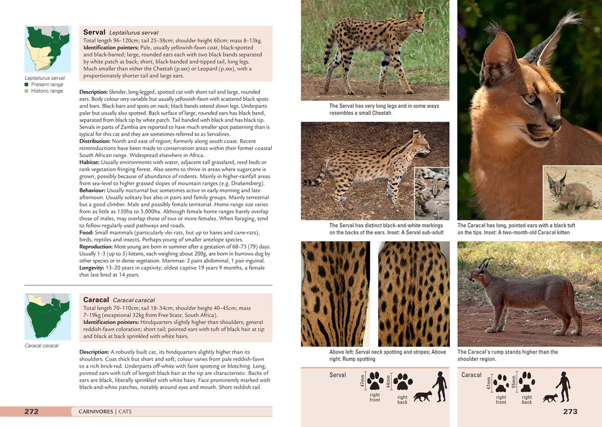 Stuarts’ Field Guide to Mammals of Southern Africa – including Angola ...