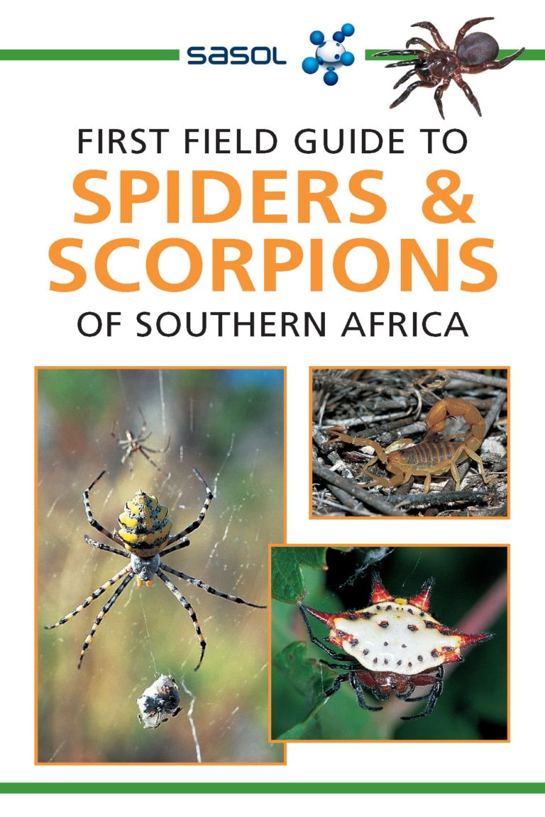 First Field Guide: Spiders & Scorpions