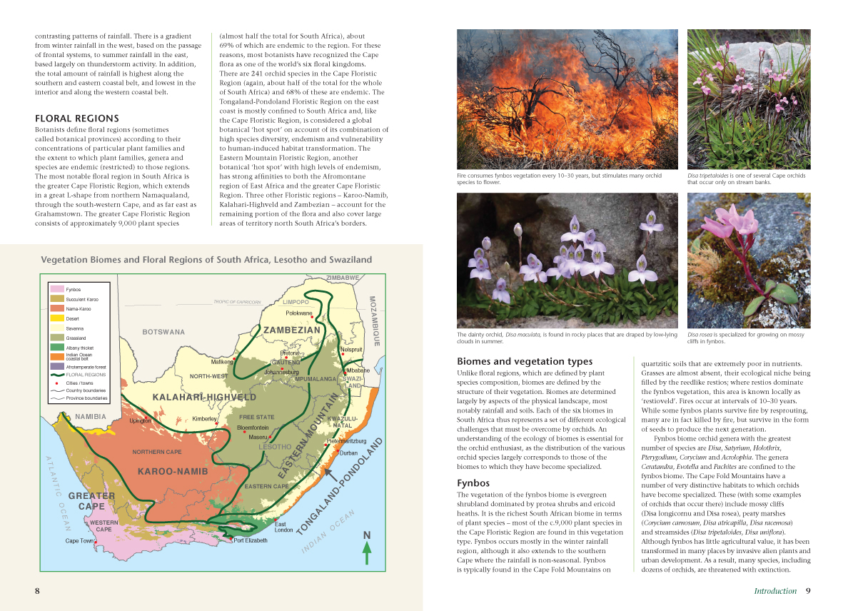 FG-Orchids-of-SA_Spread_2