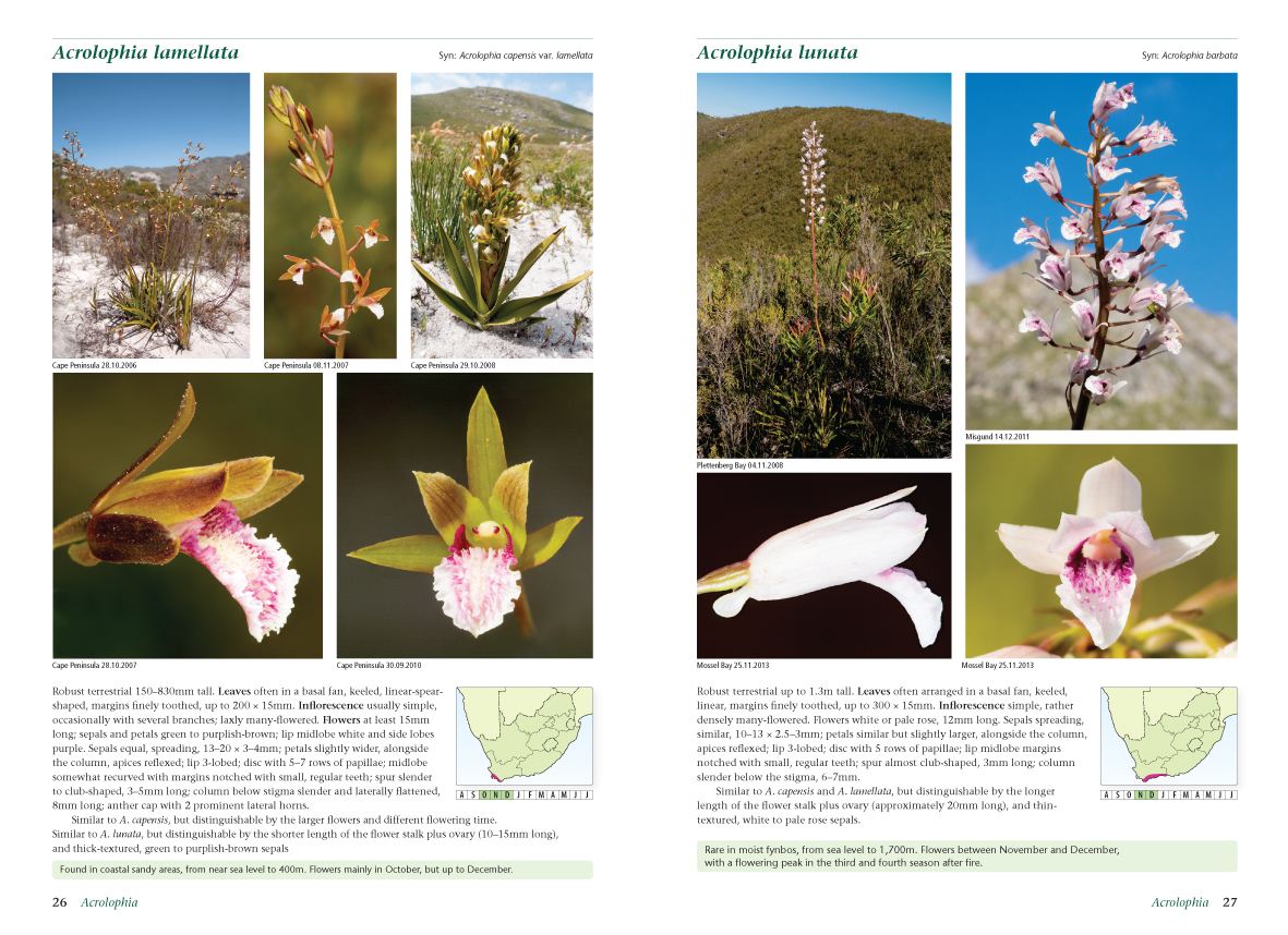 FG-Orchids-of-SA_Spread_3