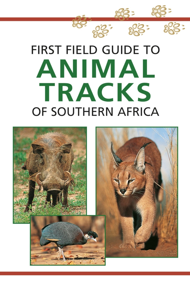 First Field Guide: Animal Tracks