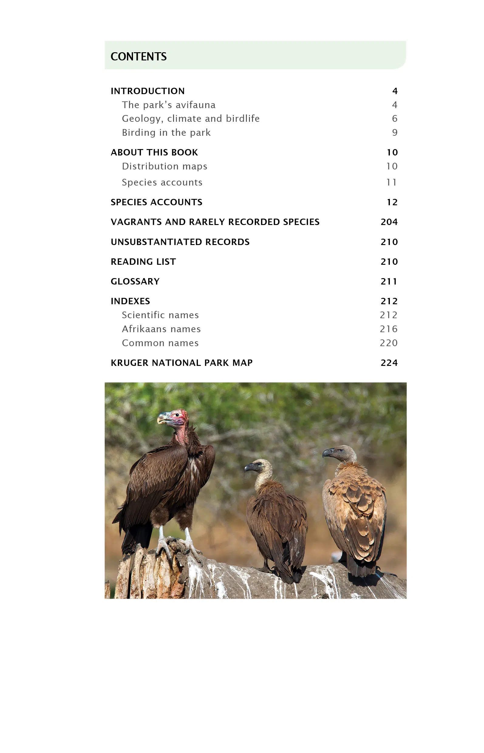 Content Page