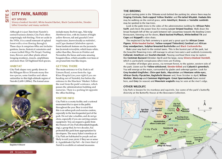 p28-29-top-birding-kenya-200kb
