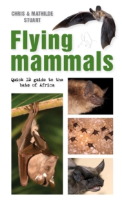 Flying Mammals - Quick ID Guide to Bats