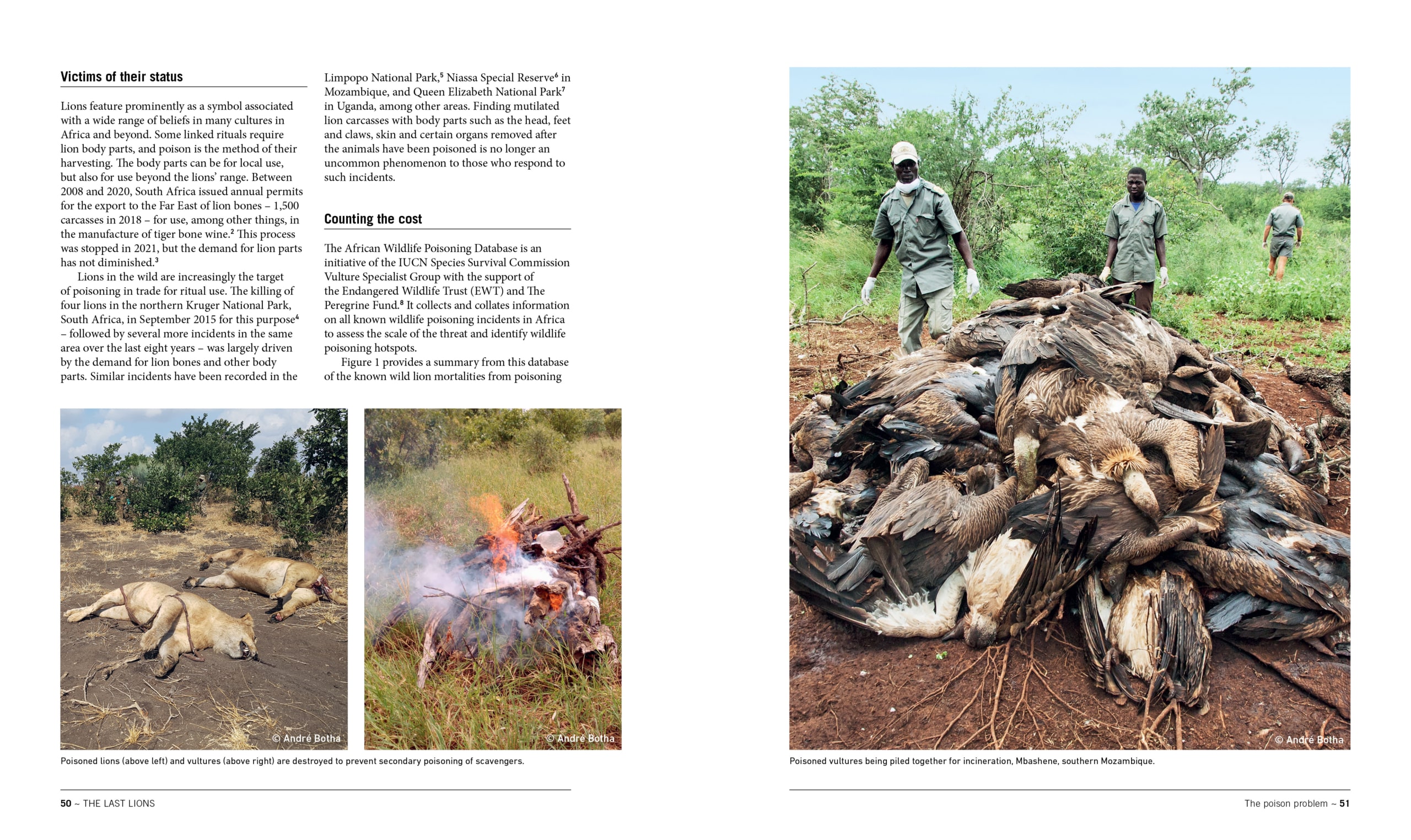 Last Lions Spread 1