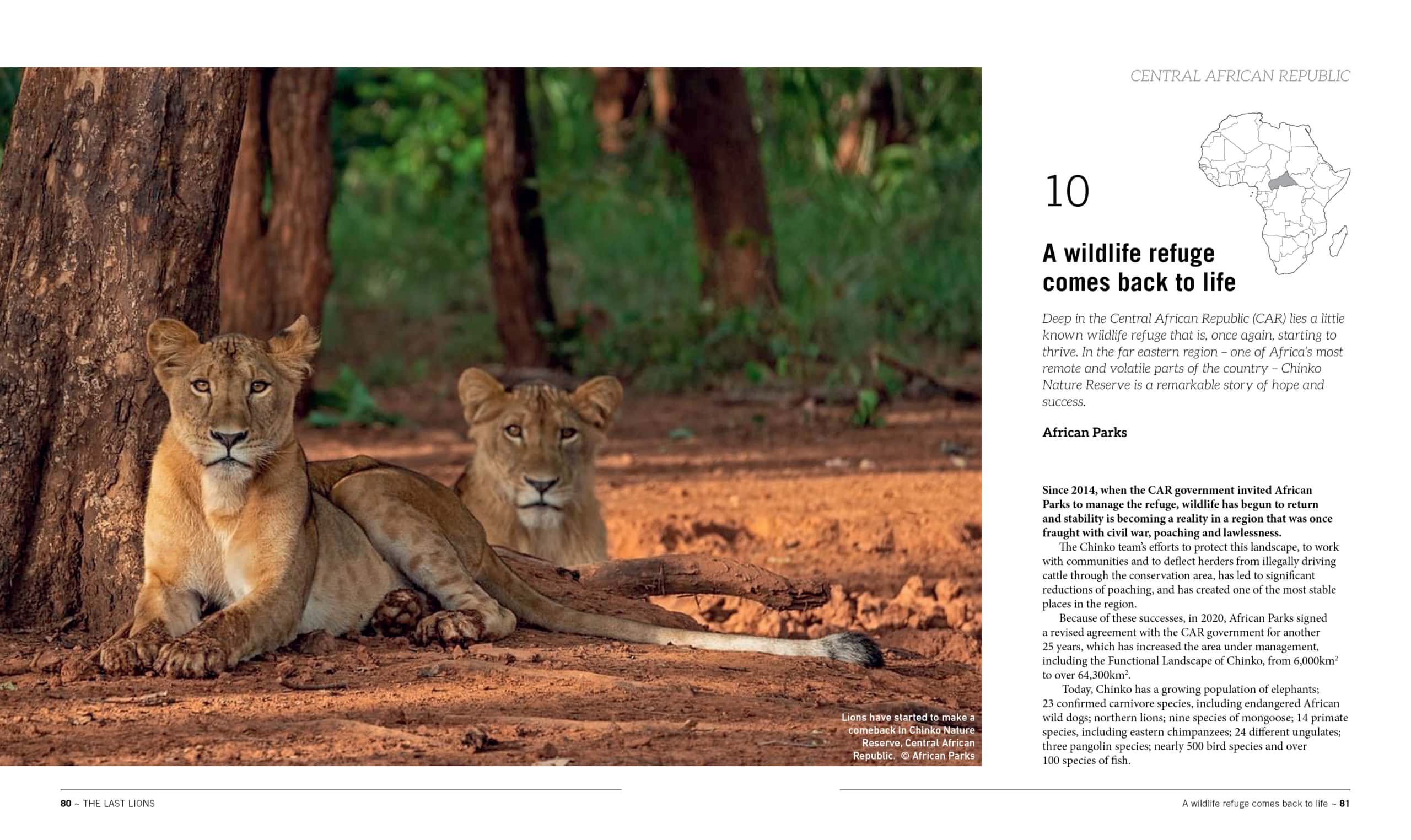 Last Lions Spread 2