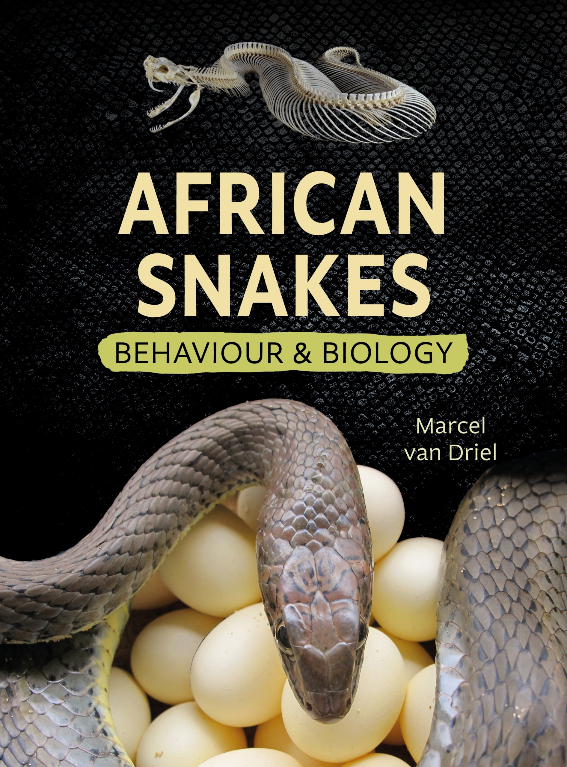 9781779890580 - African Snakes Behaviour and Biology