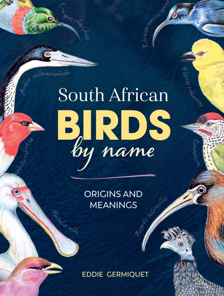 South African Birds by name – Origins and Meanings