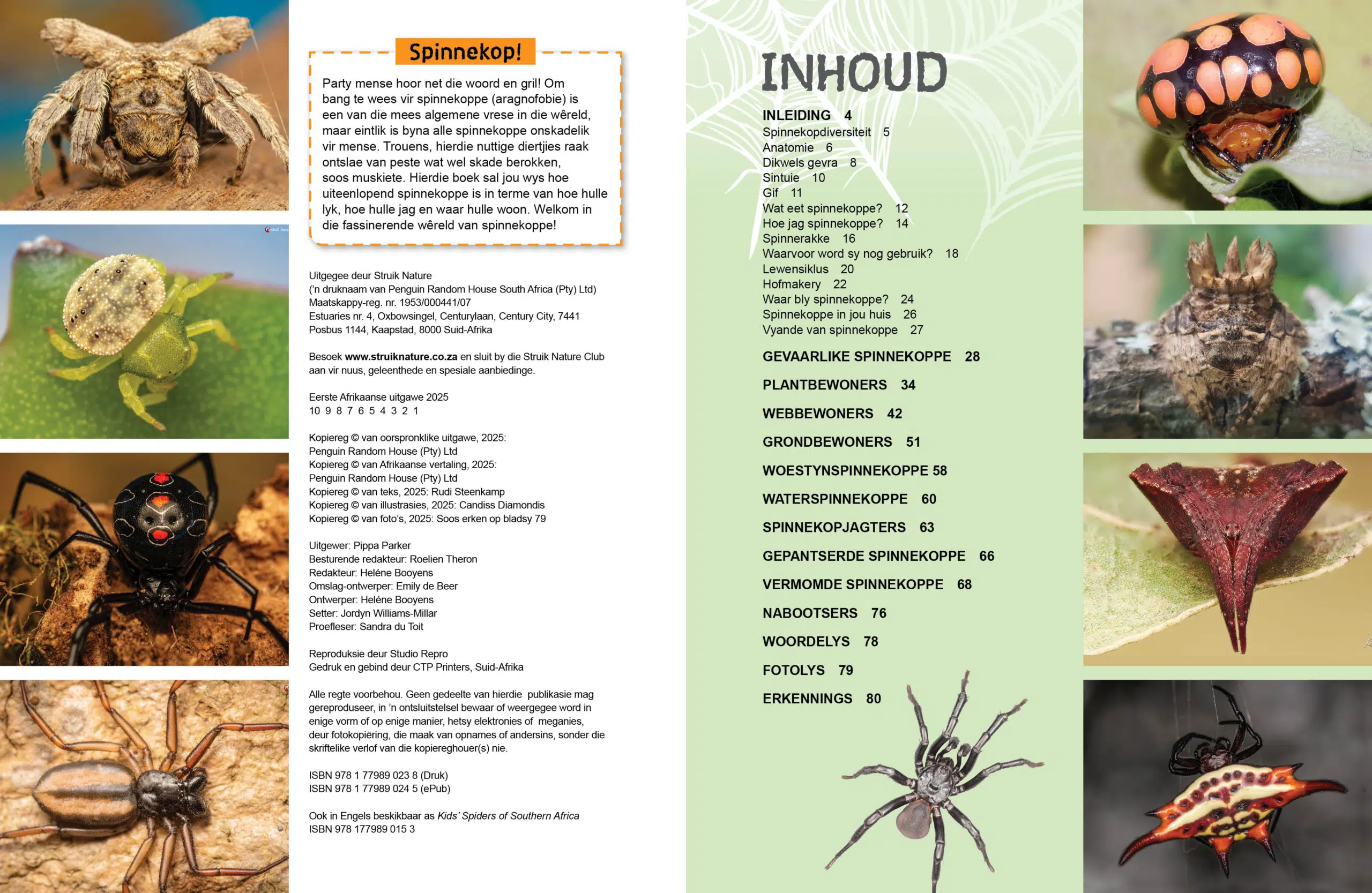 Contents