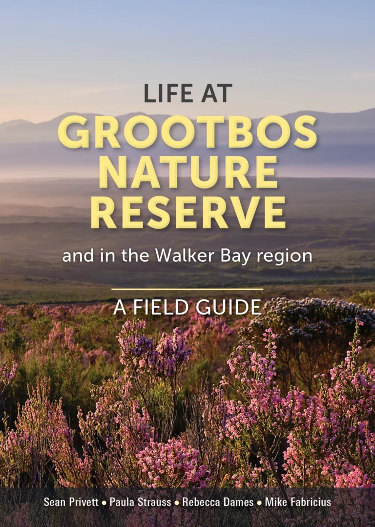 Life at Grootbos Nature Reserve and in the Walker Bay region