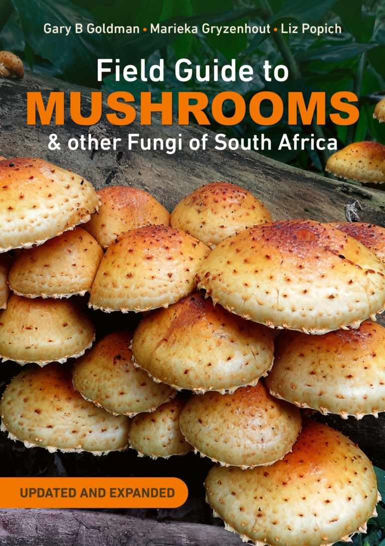 Field Guide Mushrooms and other Fungi of South Africa (New Ed)