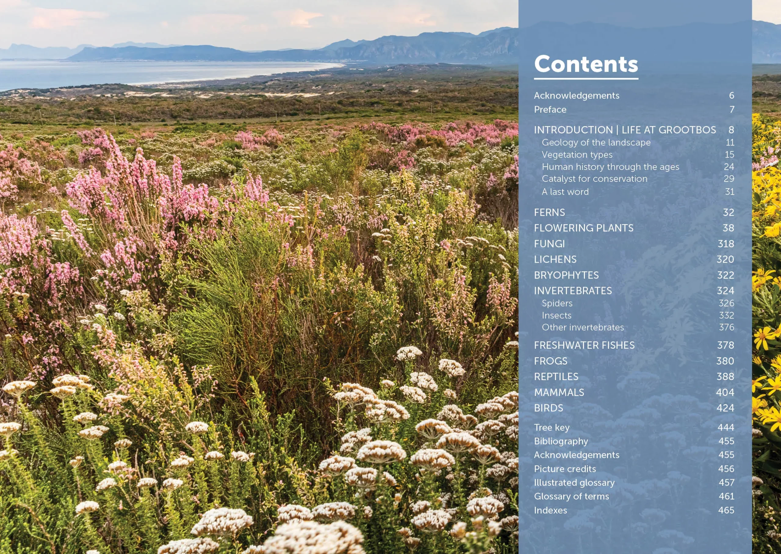 Contents (1)